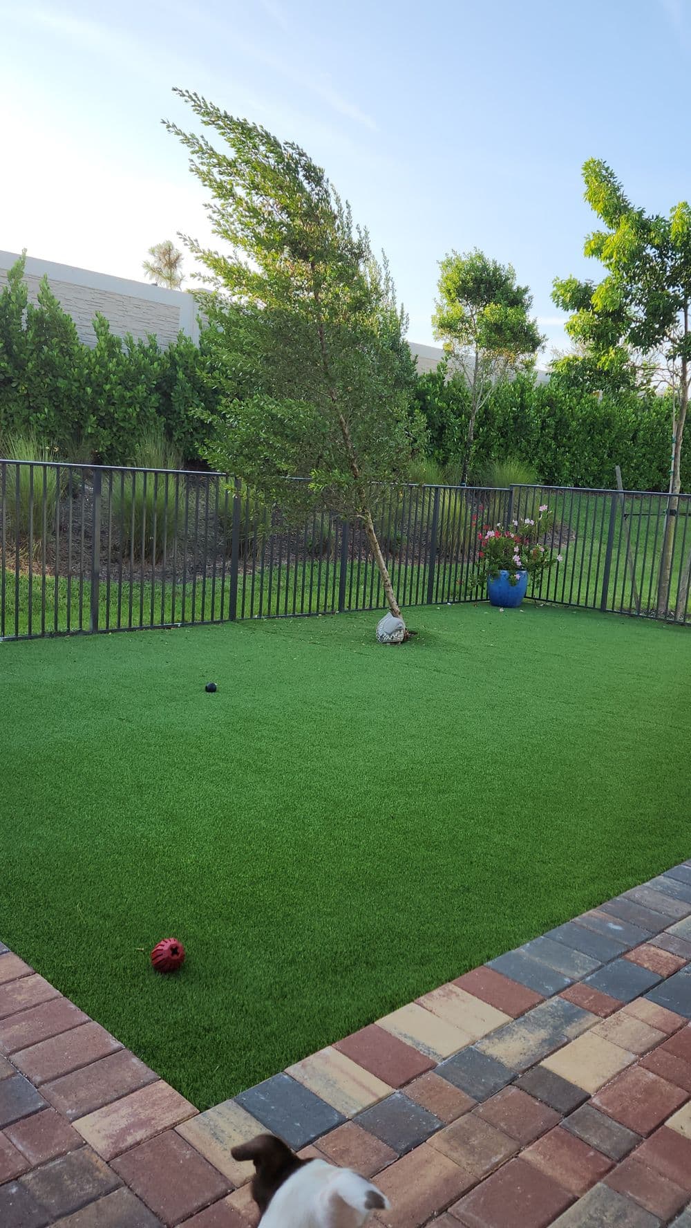 Artificial turf backyard with a leaning tree and colorful potted plants in a sunny setting.