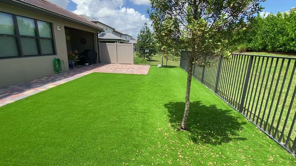 Lush green artificial turf in backyard with tree and fenced area under blue sky.