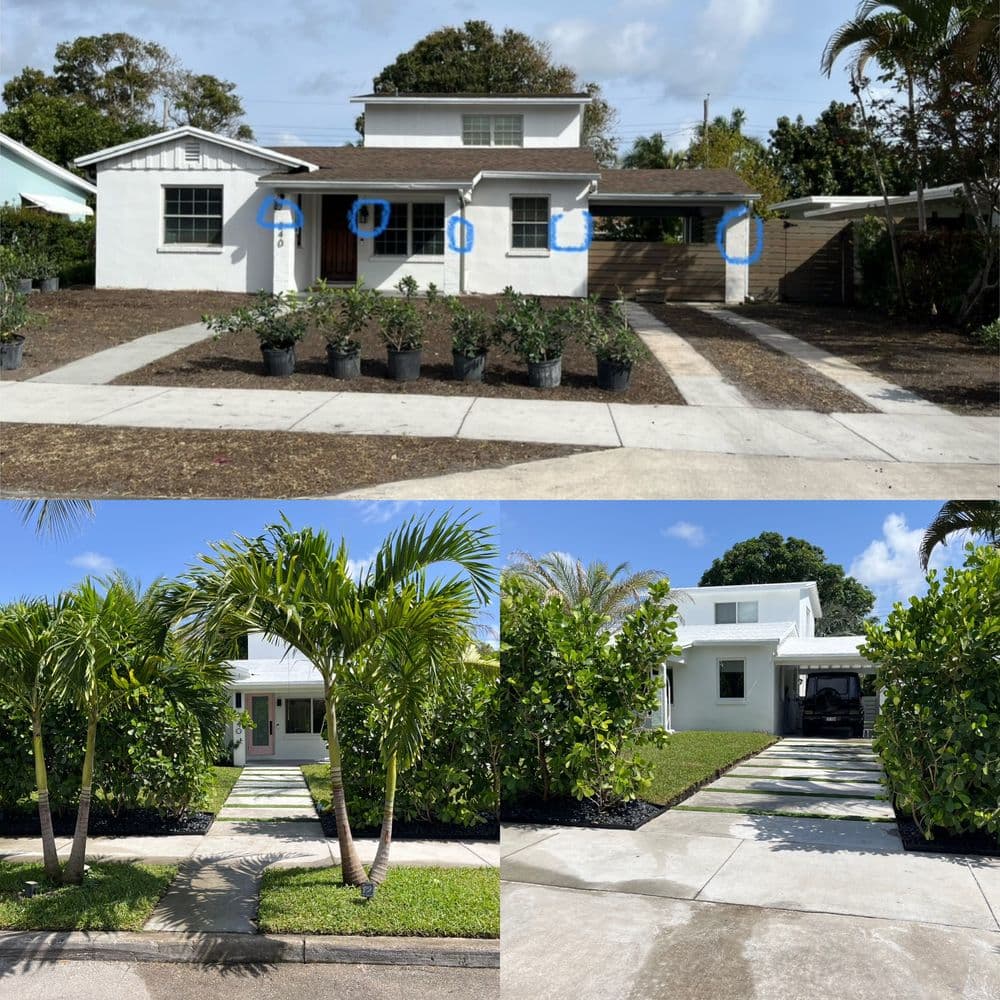 Modern two-story house with a landscaped yard, palm trees, and a driveway.