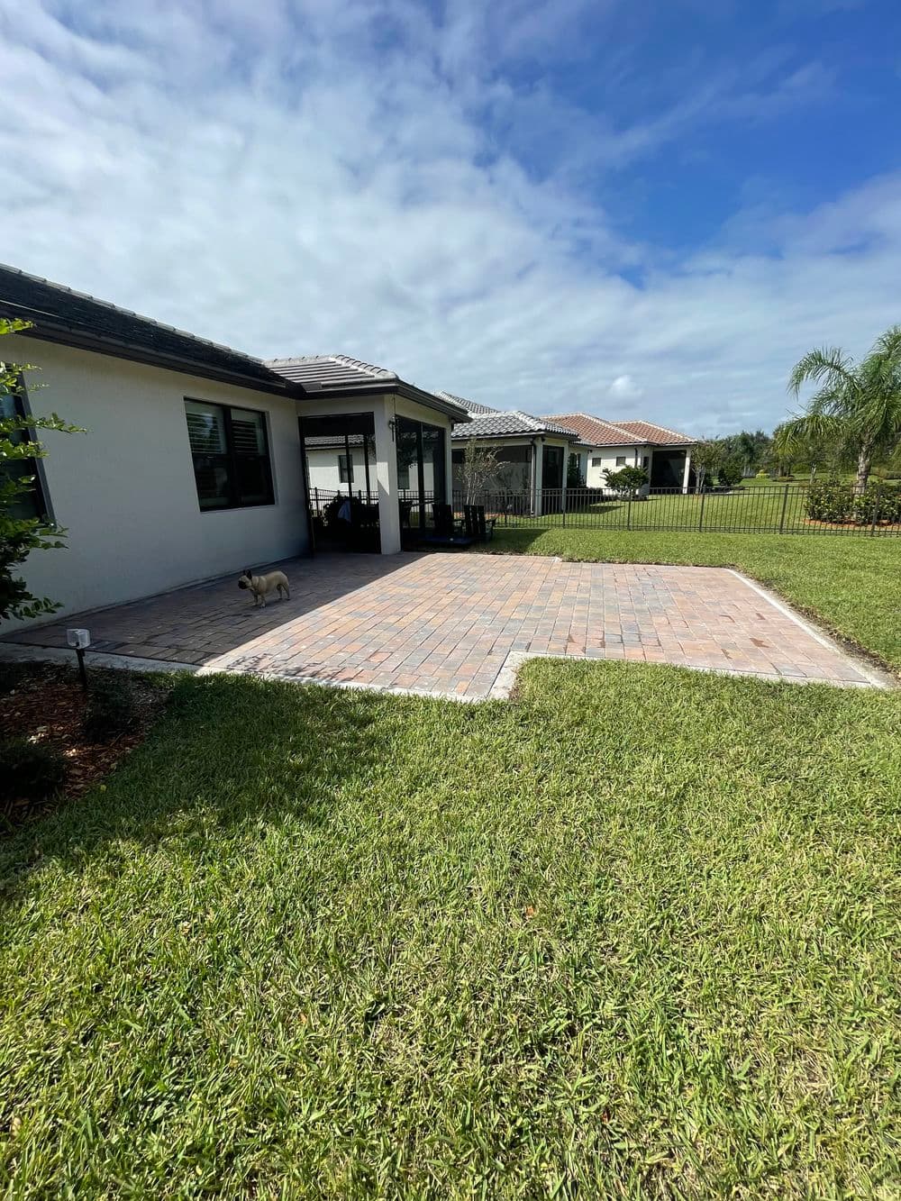 Backyard patio with pavers, green lawn, and a dog enjoying a sunny day.