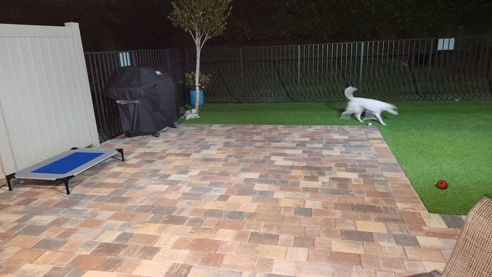 Nighttime backyard with patio pavers, grill, and a dog running on artificial grass.