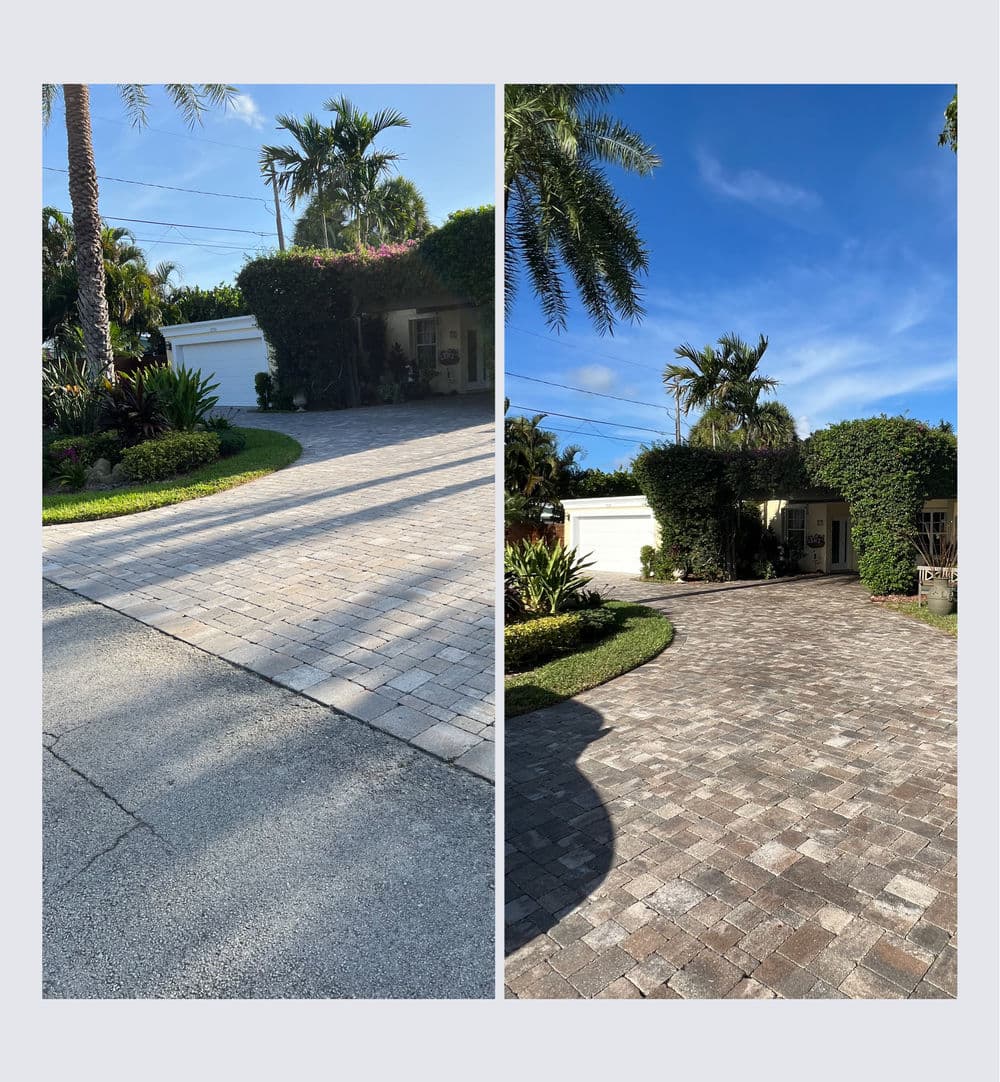 Paved driveway with lush landscaping and palm trees under a clear blue sky.